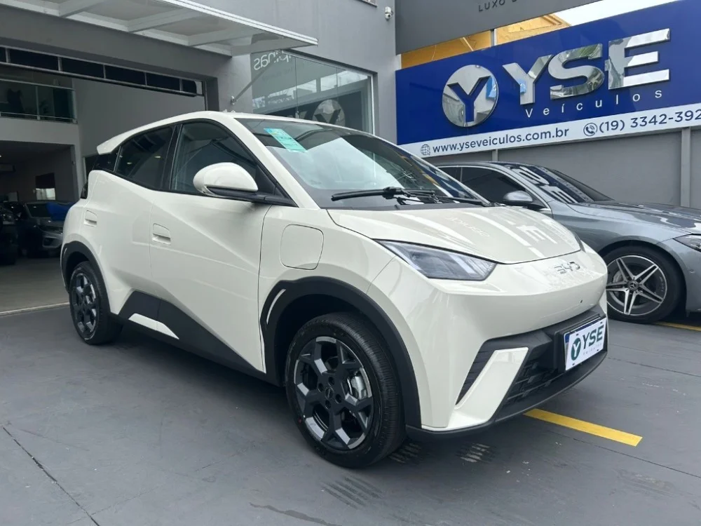 BYD Dolphin Mini GS (Elétrico)